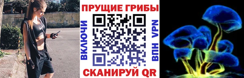 где можно купить   Лысьва  Галлюциногенные грибы MAGIC MUSHROOMS 